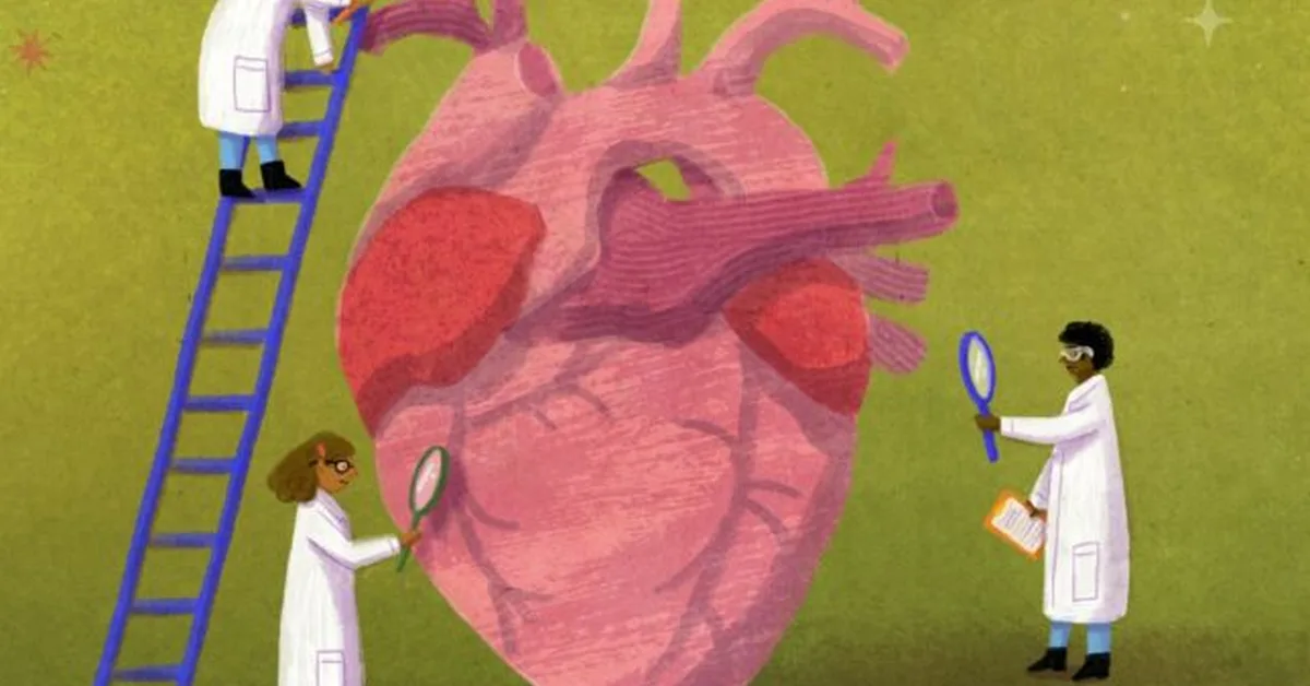 Opinion: STAT+: The Himsification of medicine