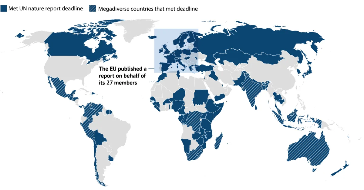 Analysis: Half of nations meet UN deadline for nature-loss reporting