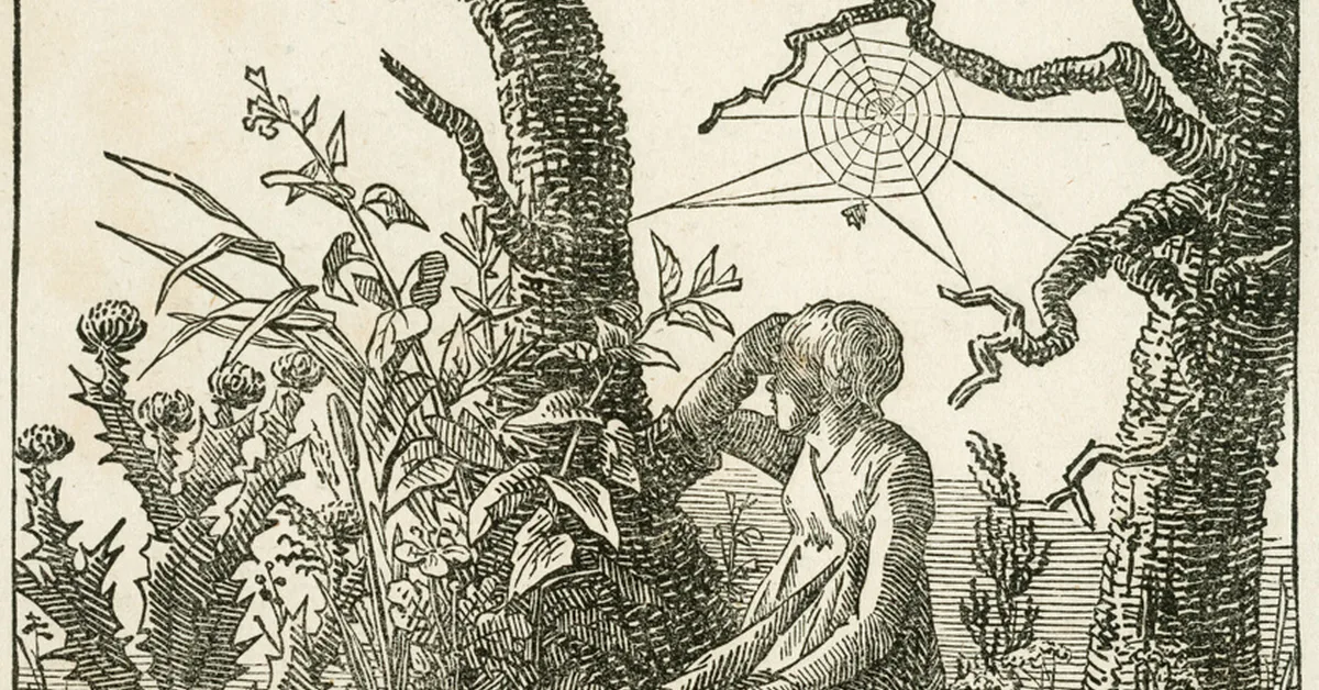 Enhancing Web Agents with a Hierarchical Memory Tree