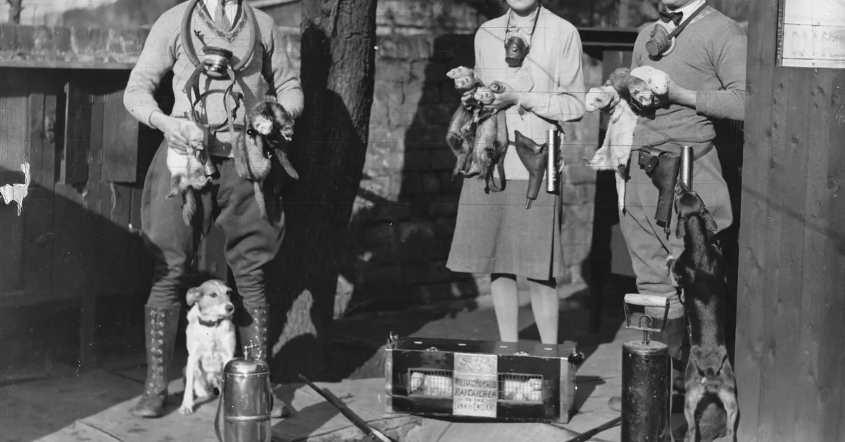 Rat catchers, powder monkeys, and resurrectionists: 20 jobs that no longer exist