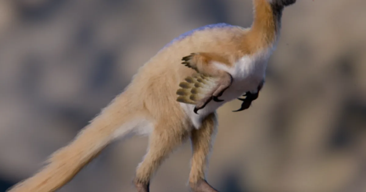 Tiny, long-armed dinosaur leads to rethink of dinosaur miniaturization