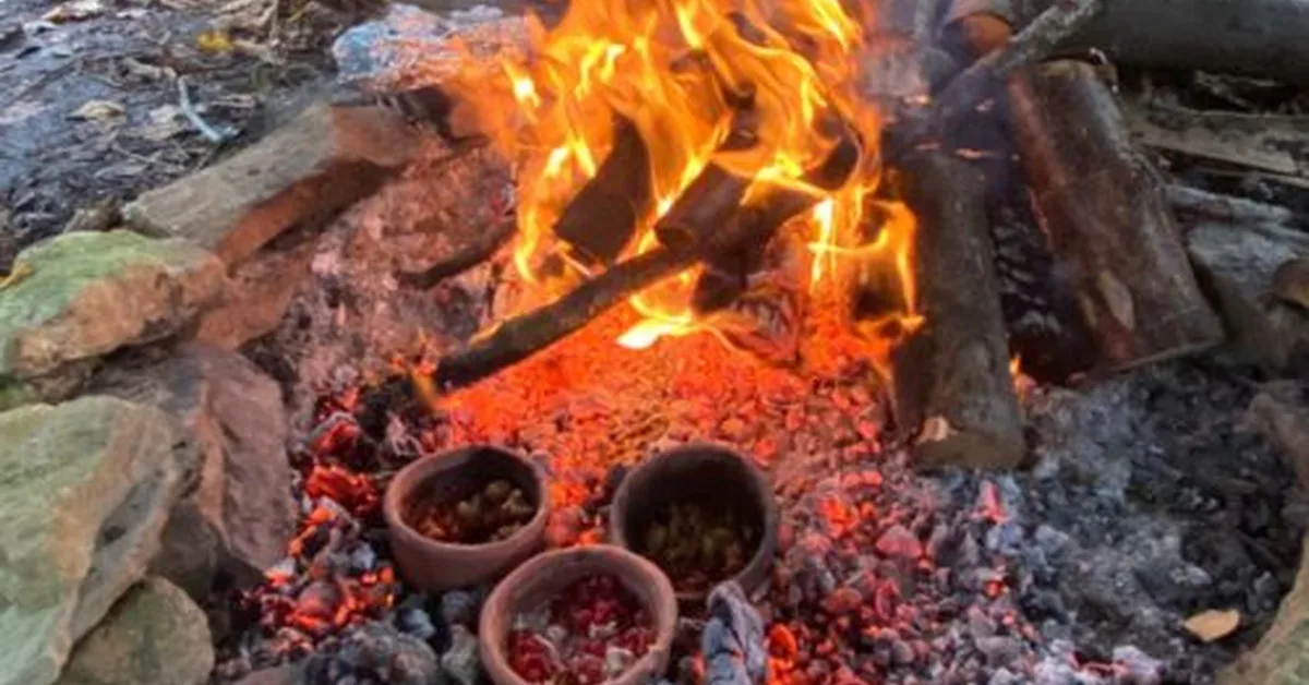 Re-creating the complex cuisine of prehistoric Europeans