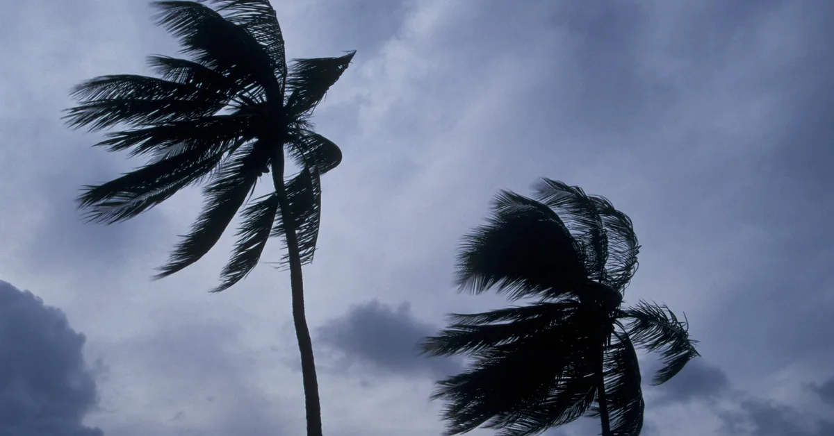 Hawaii storm update: What to do if you have a trip planned to the islands