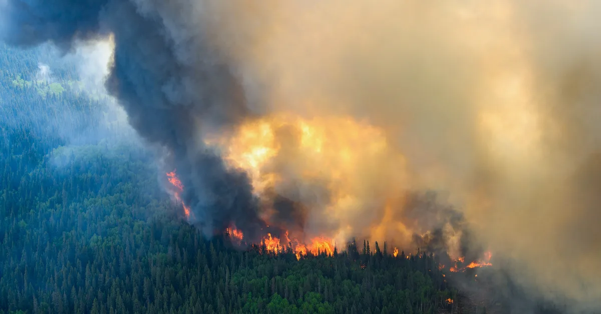 This startup claims it can stop lightning and prevent catastrophic wildfires