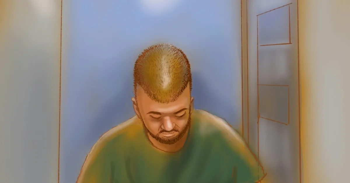 Alleged Bondi Beach killer's mother received death threats, court told