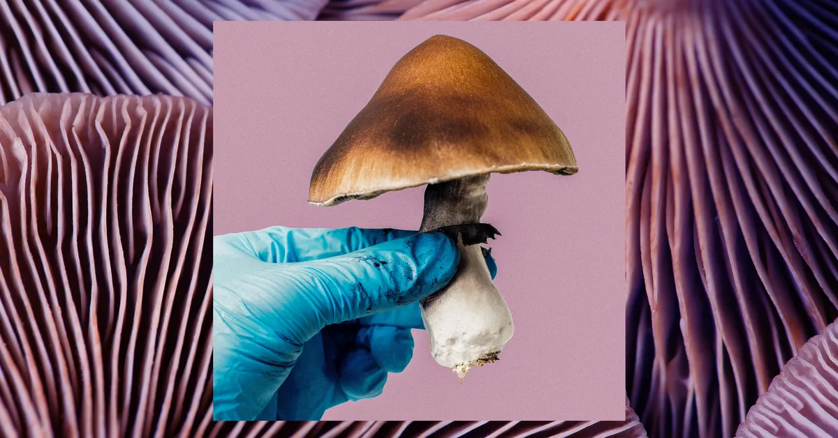 Mind-altering substances are (still) falling short in clinical trials