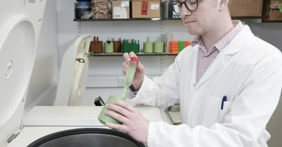 Plastic bottles recycled into Parkinson's drug using bacteria