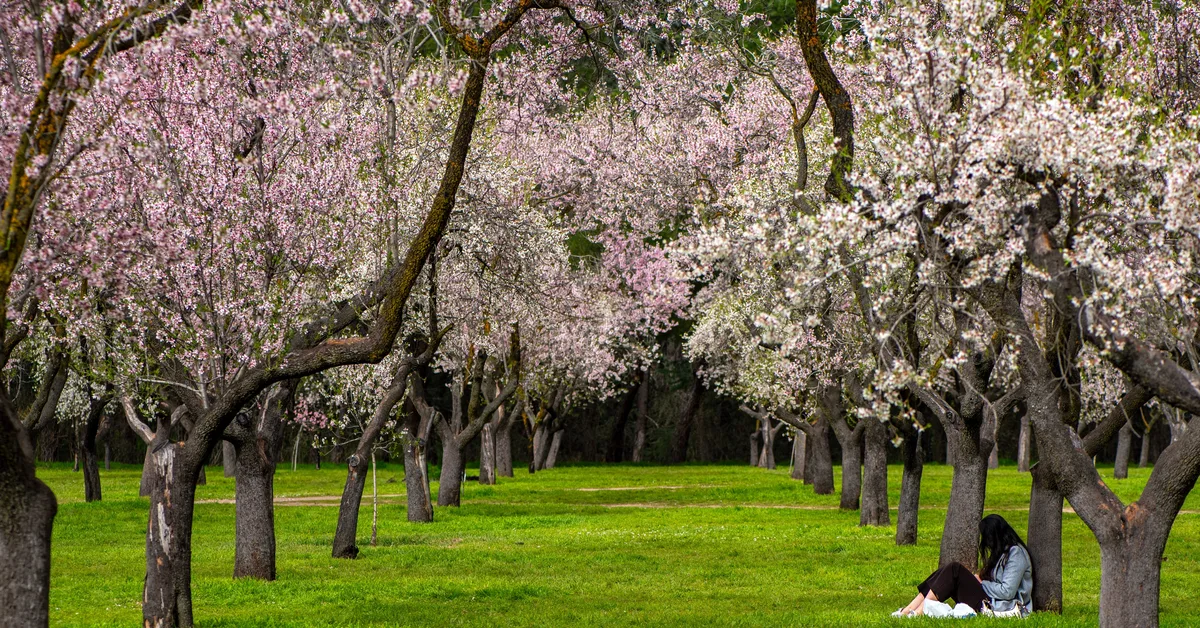 The under-the-radar books early retirees and savvy investors are reading to get ahead