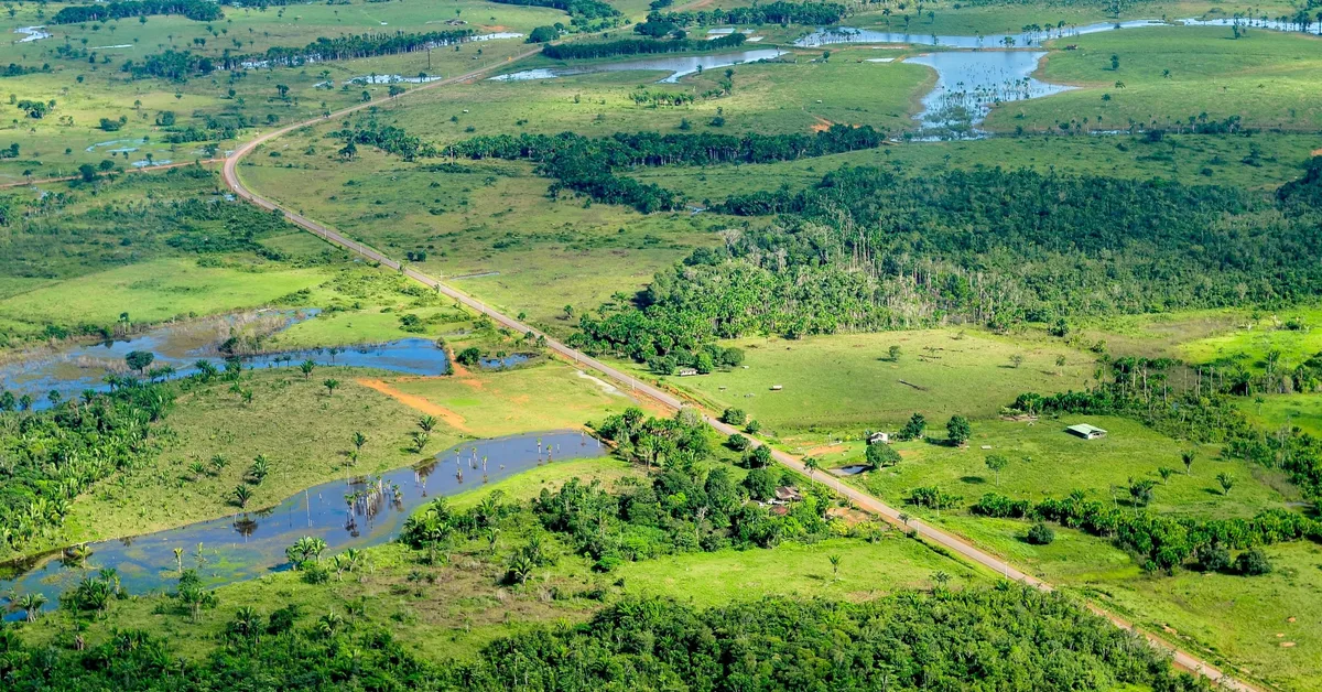 Species slowdown: Is nature's ability to self-repair stalling?