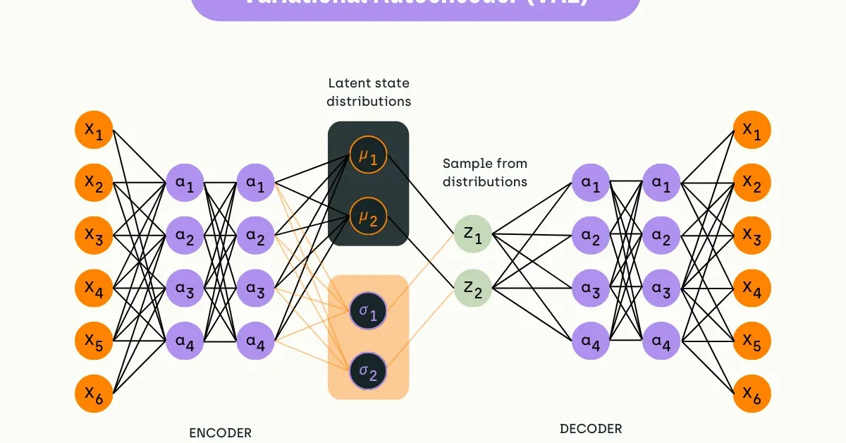 VAE-MS: An Asymmetric Variational Autoencoder for Mutational Signature Extraction
