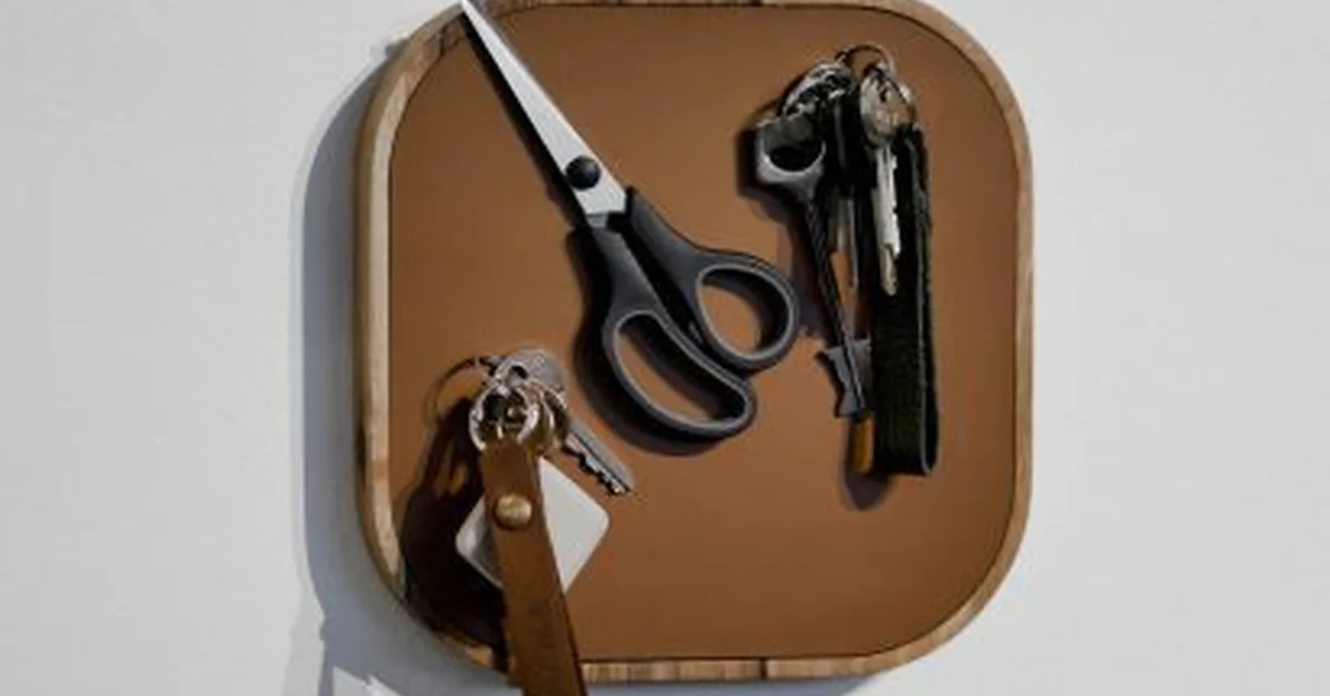 Magnetic catch-alls by Dodomoom