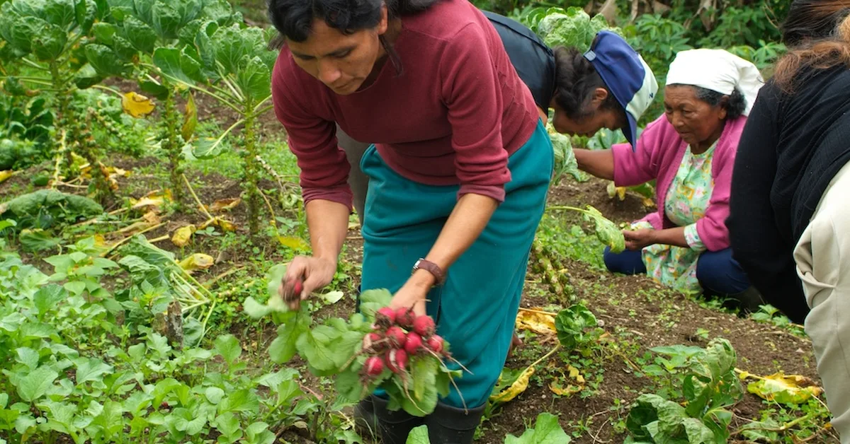 Cropped 11 March 2026: Iran water worries | Seabed-mining treaty progress | Women farmers and climate change