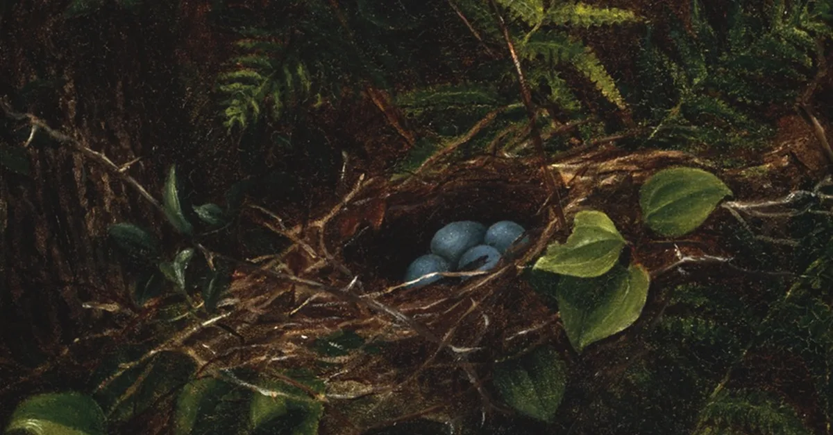 TextME: Bridging Unseen Modalities Through Text Descriptions