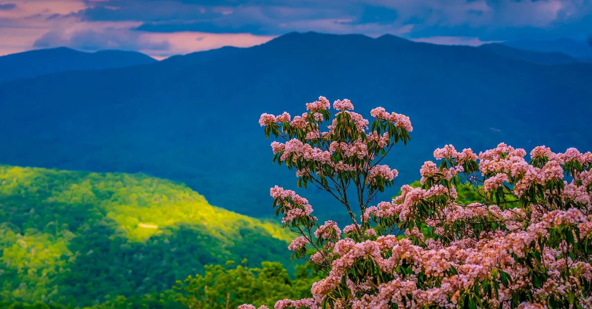 9 underrated spring travel destinations for 2026