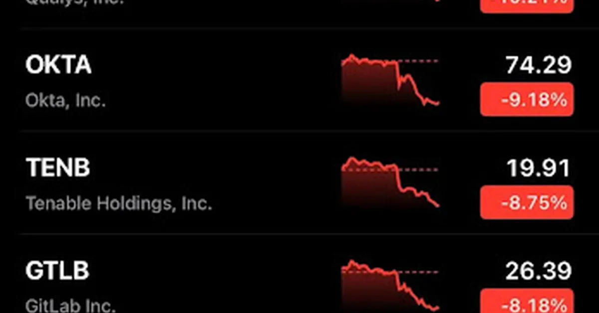 Cybersecurity Companies' Stocks Fall Sharply as Anthropic Releases Claude Security Tool