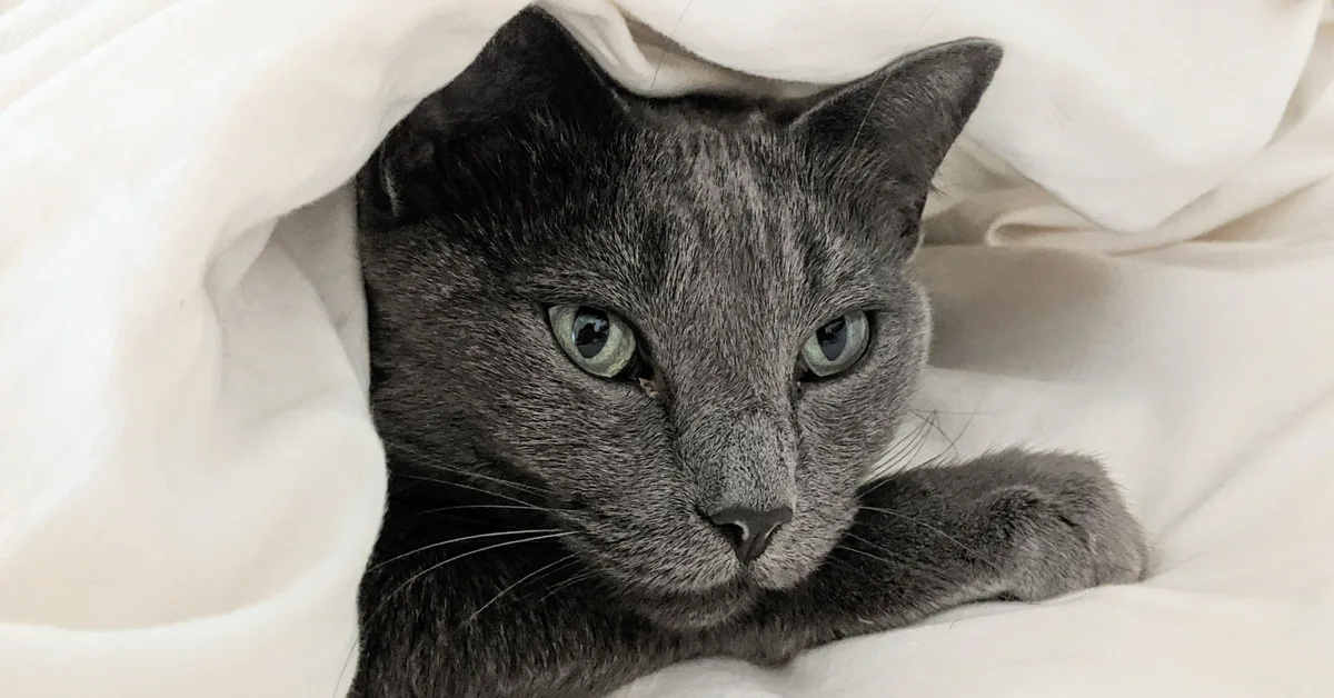 Using big data for good