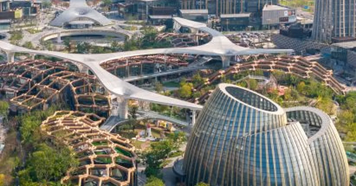 Pelli Clarke & Partners unveils bamboo forest-informed district in Yibin