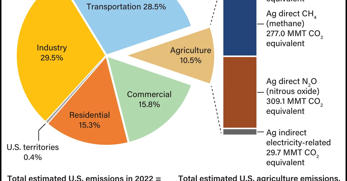 States are suing the EPA for relinquishing its role as a greenhouse gas emissions regulator