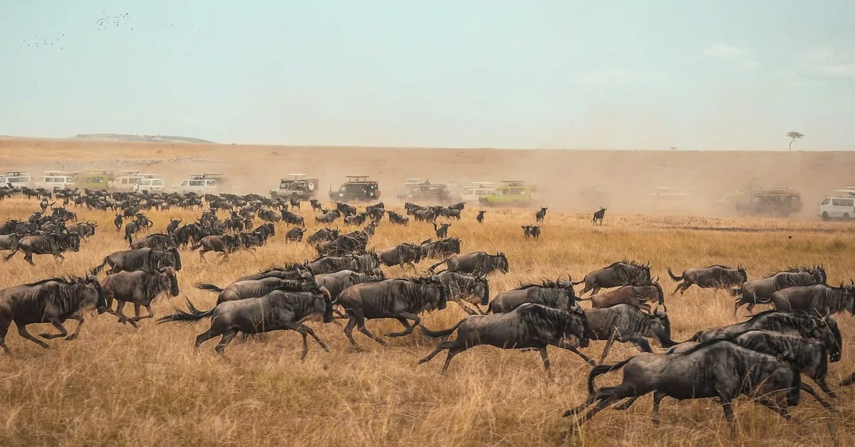 How PayPal migrated 400PB in the "largest data migration" in history