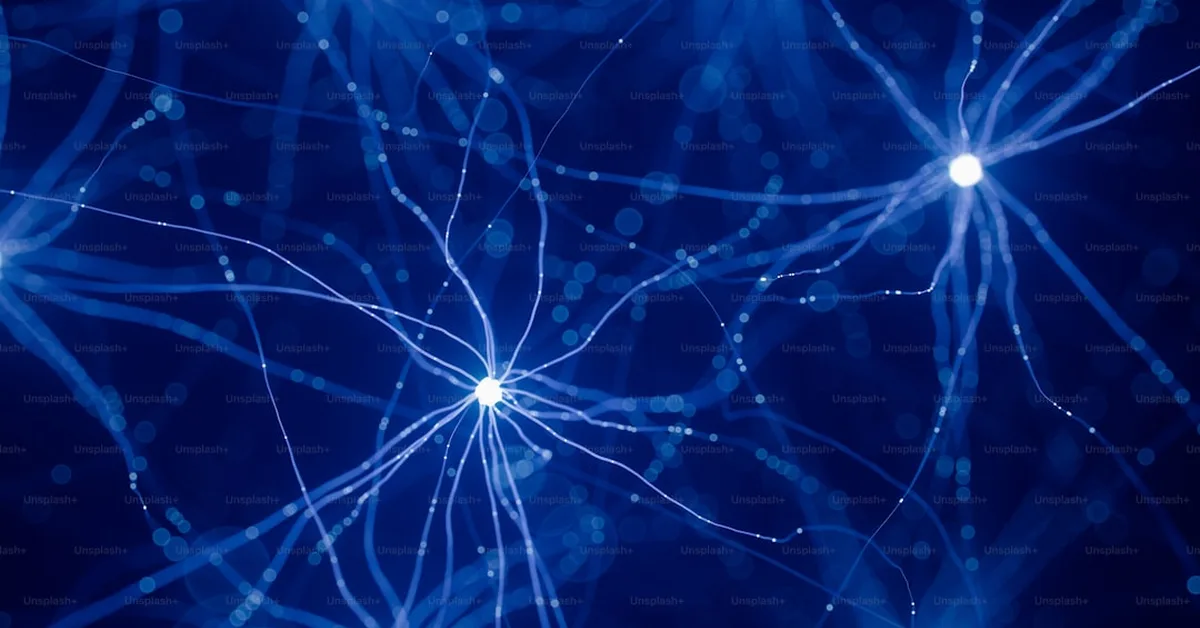 Feedback-driven recurrent quantum neural network universality