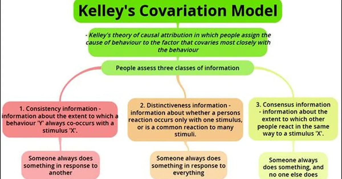 Contradiction to Consensus: Dual Perspective, Multi Source Retrieval Based Claim Verification with Source Level Disagreement using LLM