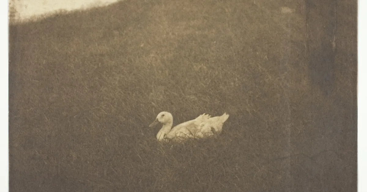 How to Build a Simple Persistent Memory Layer for LLM Apps (With Code)