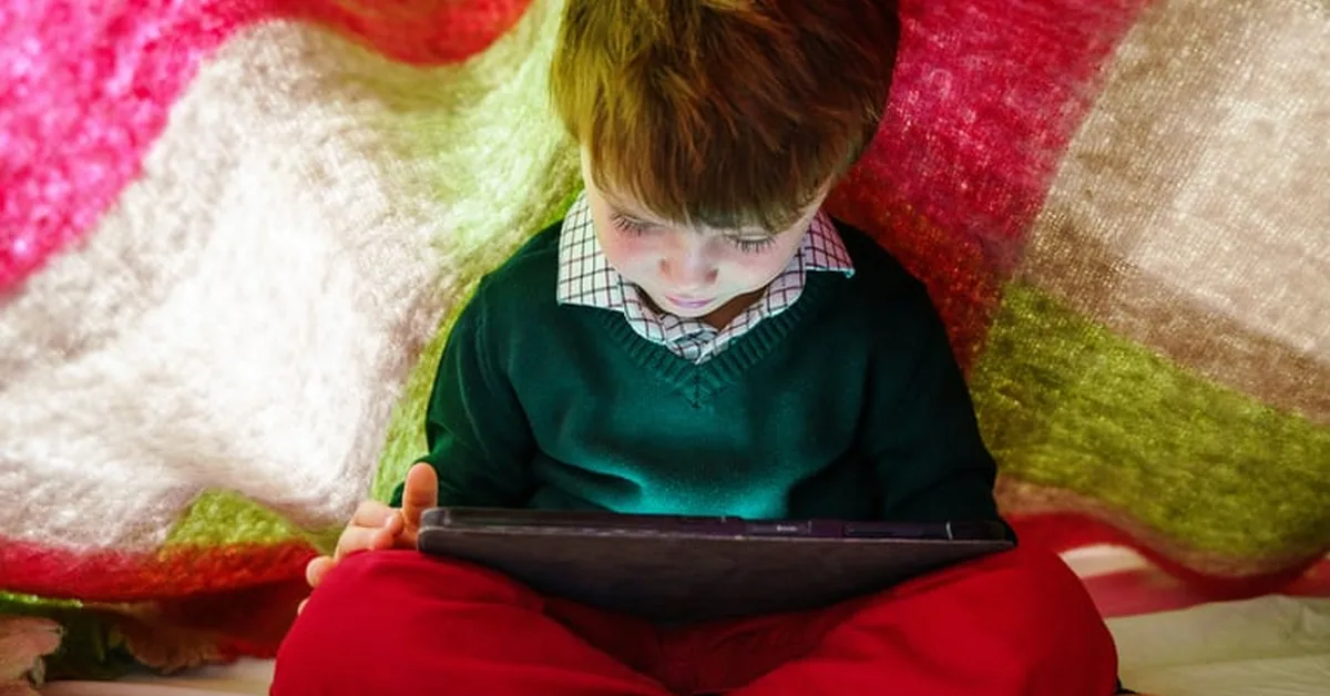 Ninth Circuit Guts California's Kids Code Once Again