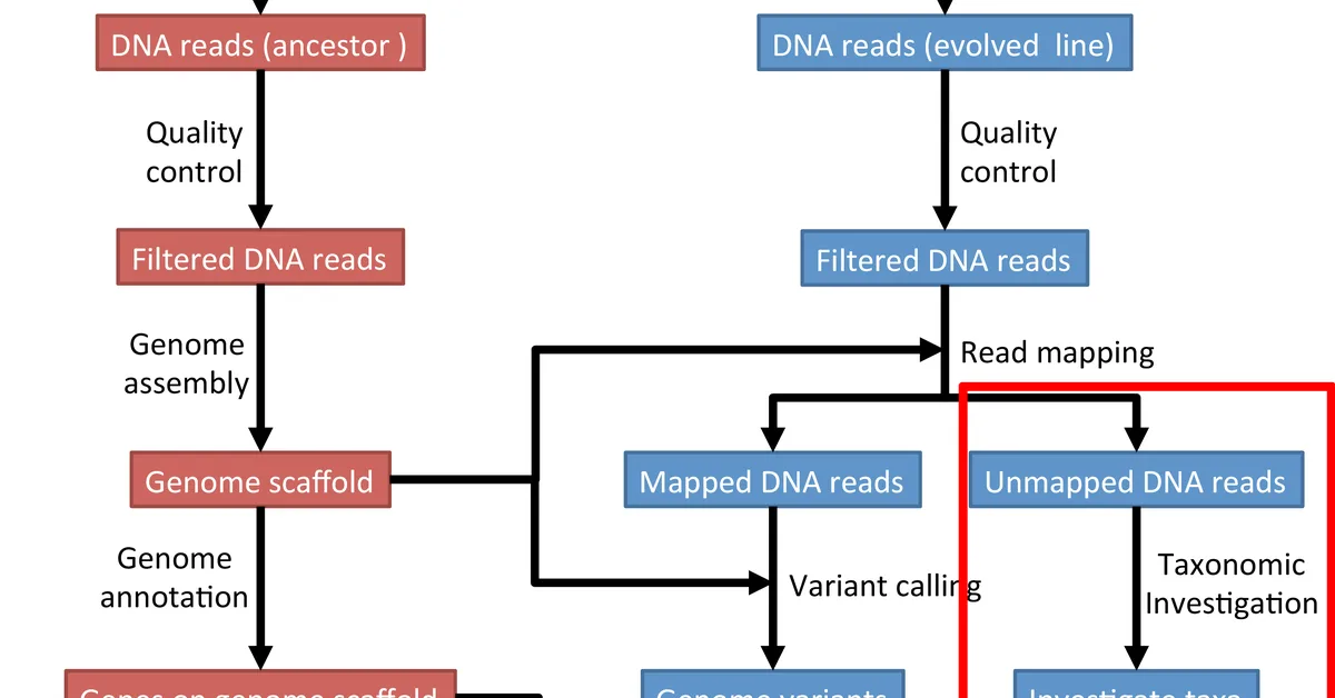 The ultimate guide to optimizing annotation workflows