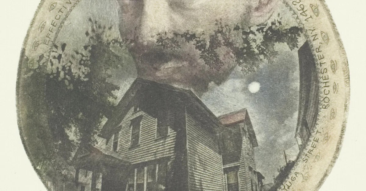 Codenotary Debuts AI Tool to Address Linux Skills Gap