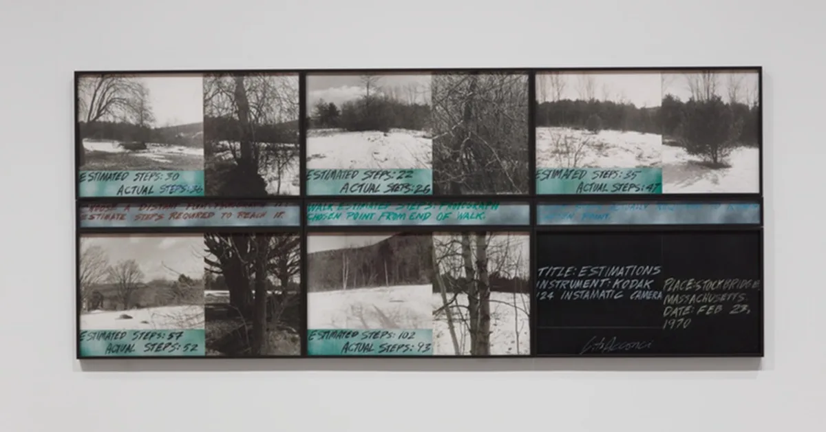 Physics-informed graph neural networks for flow field estimation in carotid arteries