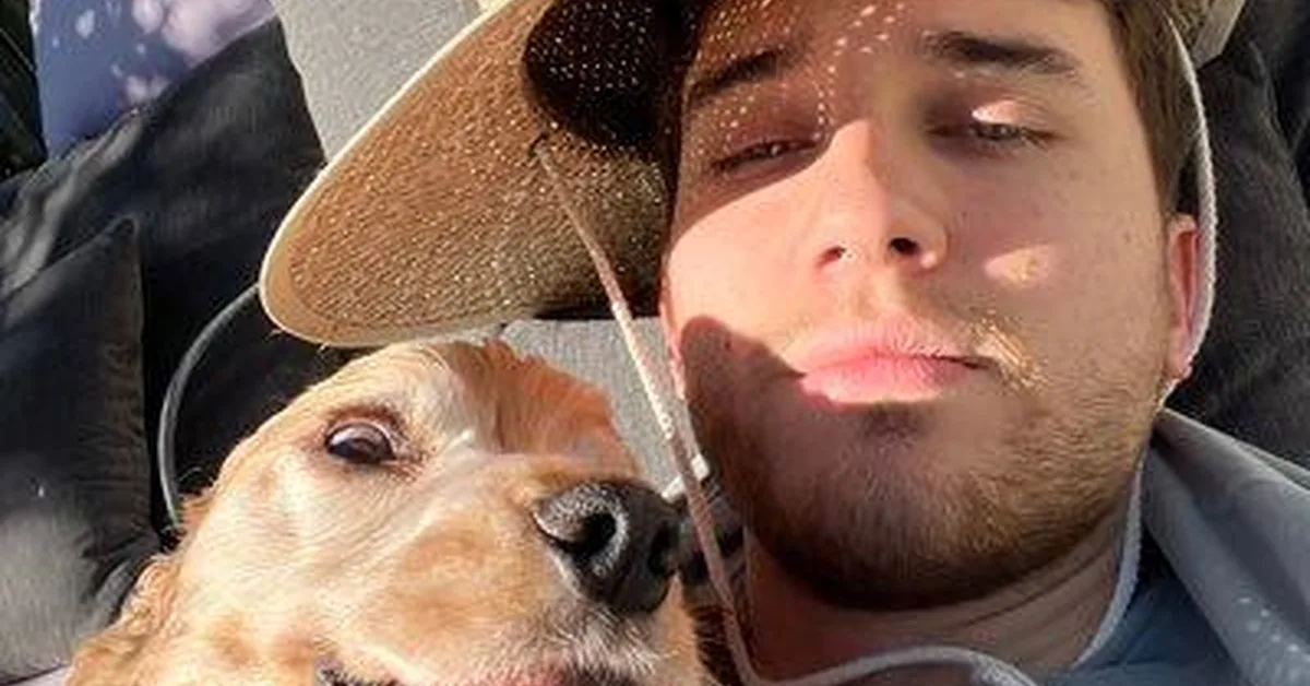 jarrodwatts/claude-hud — A Claude Code plugin that shows what's happening - context usage, active tools, 